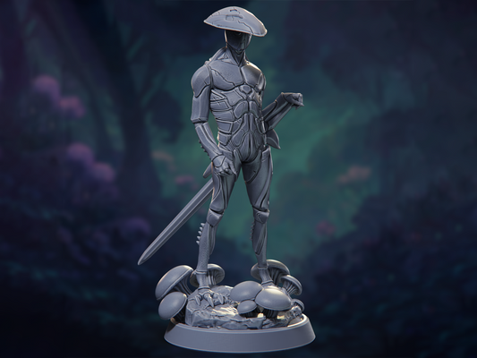 Lirren, the Explorer - The Silk Dynasty - Highly Detailed Resin 8k 3D Printed Miniature