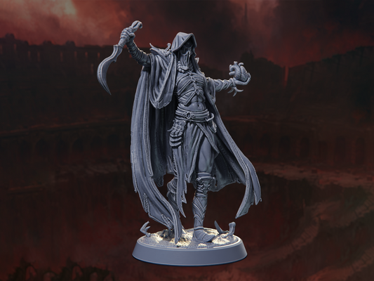 Arena Cultist - The Blood Arena - Highly Detailed Resin 8k 3D Printed Miniature