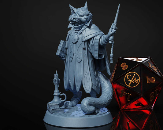 Arthur, The Spellmeowster - Tabaxi Wizard/Sorcerer - Heist at Dragon's Keep - Highly Detailed Resin 8k 3D Printed Miniature