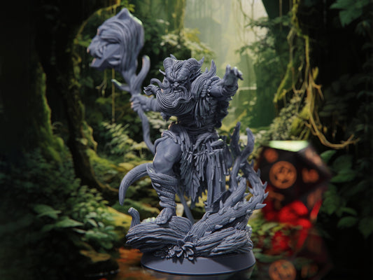 Draven Briarhollow - Tiefling Druid/Sorcerer/Wizard - Rangers of the Savage Frontiers - Highly Detailed Resin 8k 3D Printed Miniature