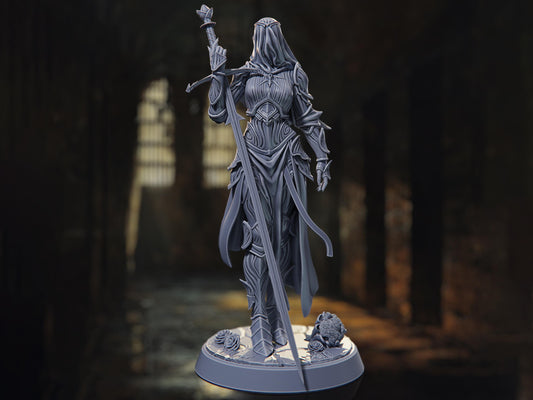 The Widow - Elf Paladin - The Bastards - Highly Detailed Resin 8k 3D Printed Miniature