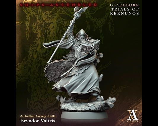 Eryndor Valtris - Trials of Kernunos - Highly Detailed Resin 8k 3D Printed Miniature