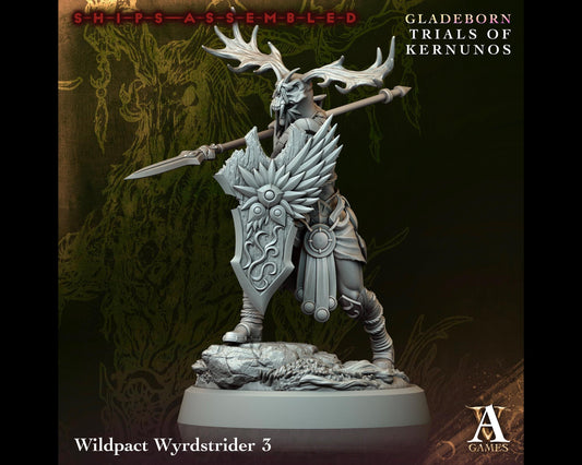 Wildpact Wyrdstrider 3 - Trials of Kernunos - Highly Detailed Resin 8k 3D Printed Miniature