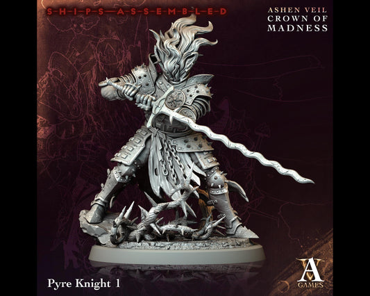 Pyre Knight 1 - Crown of Madness - Highly Detailed Resin 8k 3D Printed Miniature