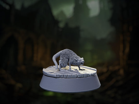 Rat Companion - Death by Plague - Highly Detailed Resin 8k 3D Printed Miniature