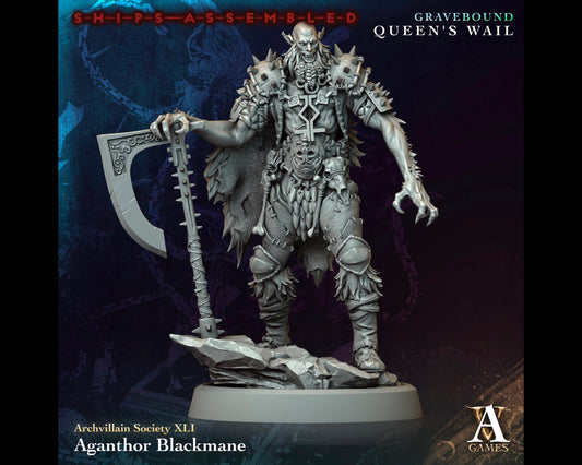 Aganthor Blackmane - Gravebound: Queen's Wail - Highly Detailed Resin 8k 3D Printed Miniature