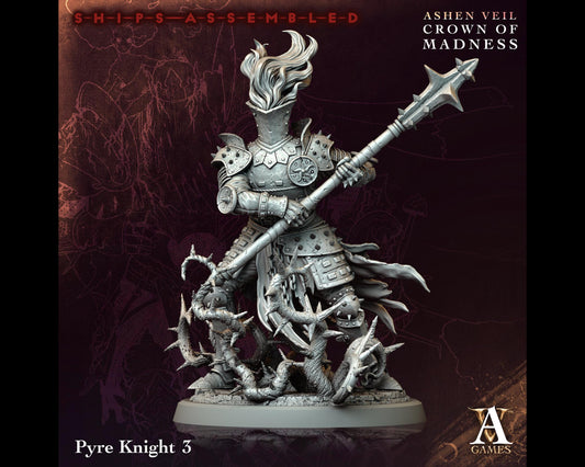Pyre Knight 3 - Crown of Madness - Highly Detailed Resin 8k 3D Printed Miniature