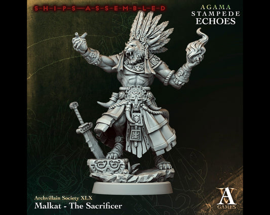Malkat, The Sacrificer - Leonin/Tabaxi Warlock/Sorcerer - Stampede Echoes - Highly Detailed Resin 8k 3D Printed Miniature