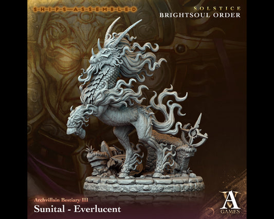 Sunital, Everlucent - Brightsoul Order - Highly Detailed Resin 8k 3D Printed Miniature